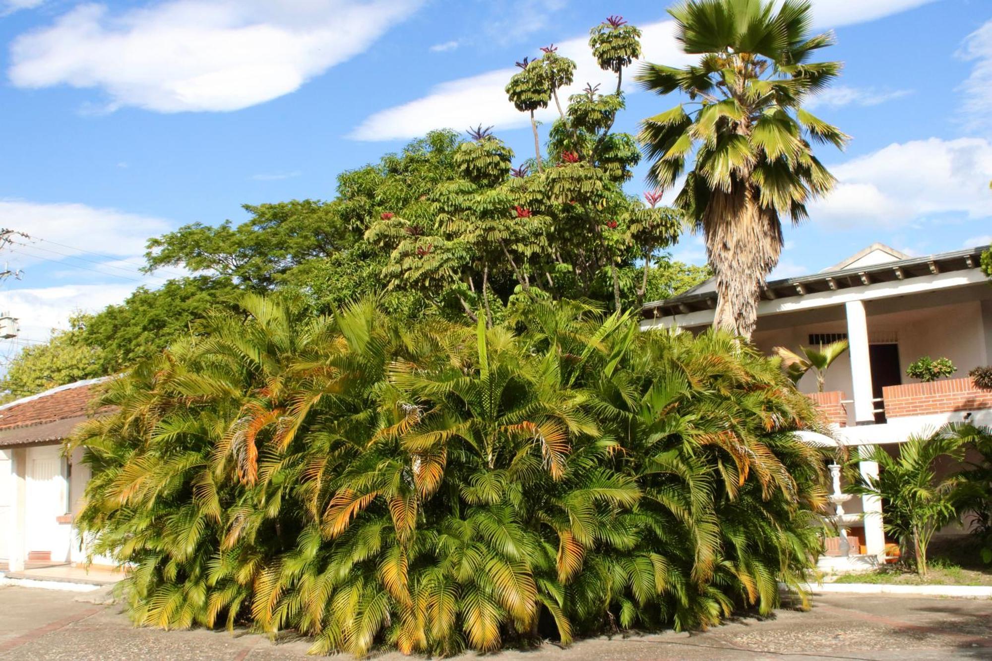 Hotel Mar Azul Neiva Neiva  Exterior foto
